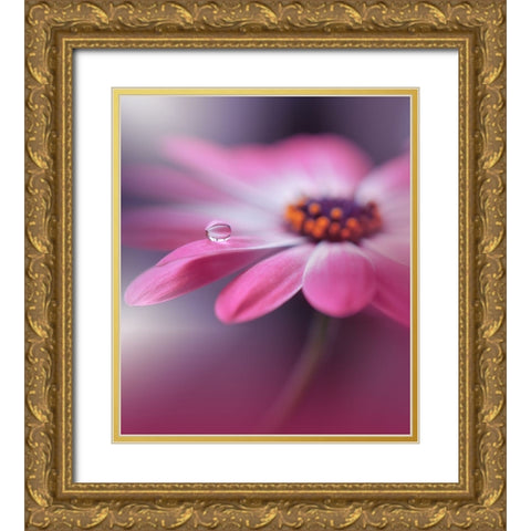 Echoes of Hope...III Gold Ornate Wood Framed Art Print with Double Matting by Nan, Juliana