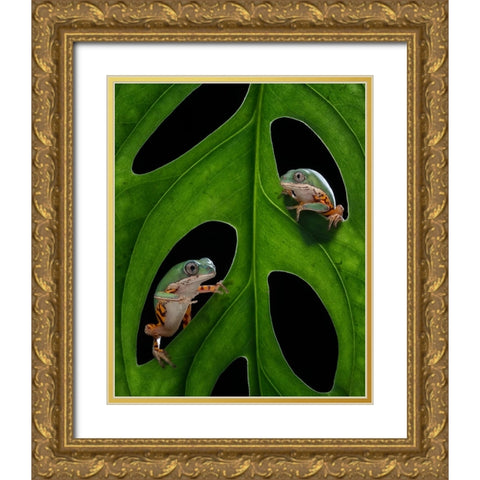 Hang out Gold Ornate Wood Framed Art Print with Double Matting by Tantoyensen