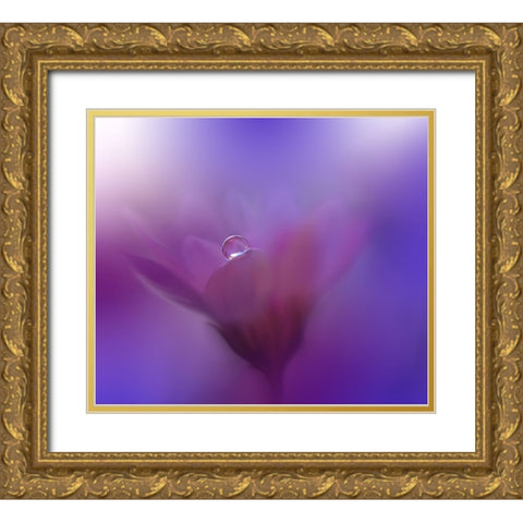 Colors Of Love...III Gold Ornate Wood Framed Art Print with Double Matting by Nan, Juliana