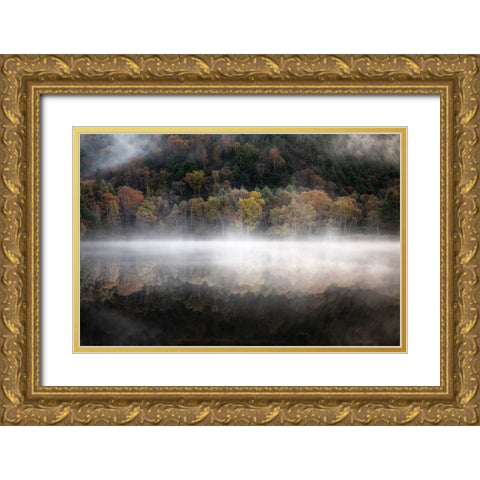The mystical pond in the autumn Gold Ornate Wood Framed Art Print with Double Matting by Suzuki, Daiki