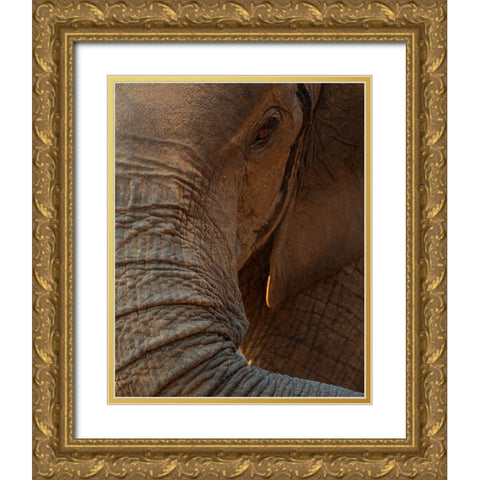 the eye Gold Ornate Wood Framed Art Print with Double Matting by Baekelandt, Luc