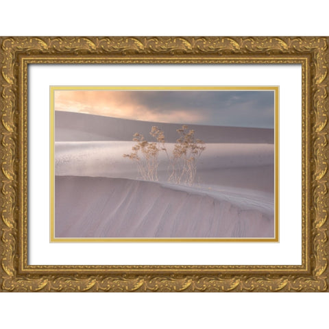 Untitled Gold Ornate Wood Framed Art Print with Double Matting by Ali Amir, Abbas