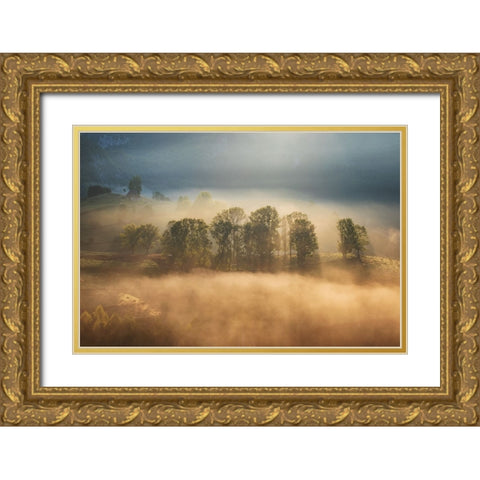 Sunrise veil Gold Ornate Wood Framed Art Print with Double Matting by Ionut Coman, Alexandru