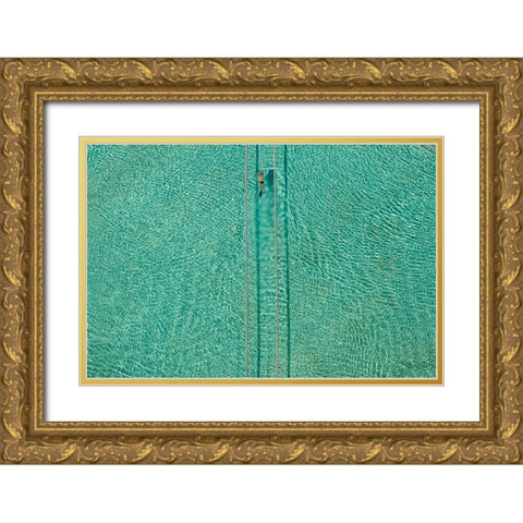 Swimmer #2 Gold Ornate Wood Framed Art Print with Double Matting by Nikzad Amoli, Hossein