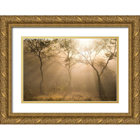 Three trees Gold Ornate Wood Framed Art Print with Double Matting by Sugita, Masaki