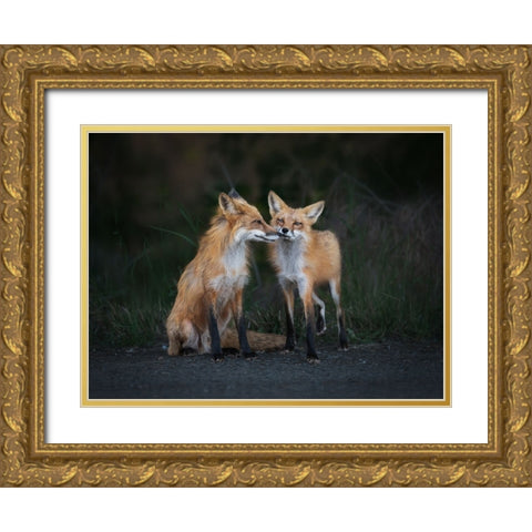 Only You In My Eyes Gold Ornate Wood Framed Art Print with Double Matting by Zhang, Ling