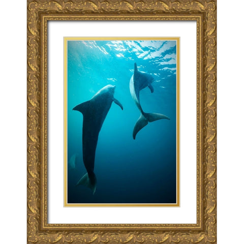 Shapes Of Water Gold Ornate Wood Framed Art Print with Double Matting by Melesan, Serge