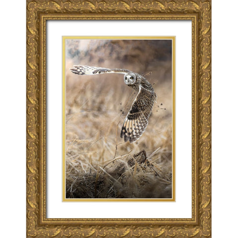 fly into the sky Gold Ornate Wood Framed Art Print with Double Matting by Matsubara, Hiroki