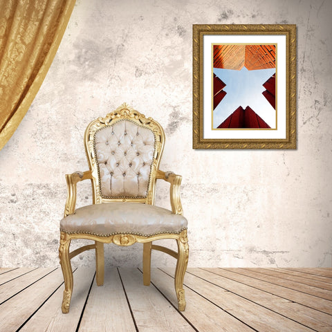 Its a Bird... Its a Plane... Its... Gold Ornate Wood Framed Art Print with Double Matting by Surleac, Marius