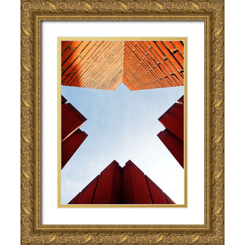 Its a Bird... Its a Plane... Its... Gold Ornate Wood Framed Art Print with Double Matting by Surleac, Marius