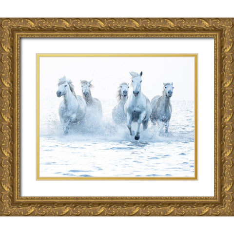 Horses on the Run Gold Ornate Wood Framed Art Print with Double Matting by Zvelebil Phd, Marketa