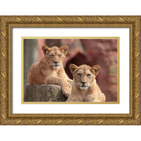 SISTERS Gold Ornate Wood Framed Art Print with Double Matting by Wenner-Braun, Antje