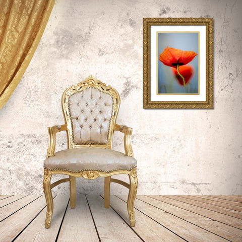 Drifting poppies Gold Ornate Wood Framed Art Print with Double Matting by Hylleberg, Lars