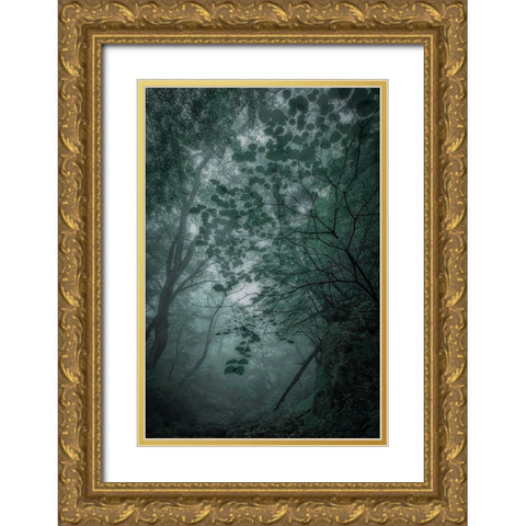 Fogaforest Gold Ornate Wood Framed Art Print with Double Matting by Yamashita, Takafumi