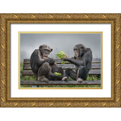 Monkey Salad Gold Ornate Wood Framed Art Print with Double Matting by Egger, Marcel