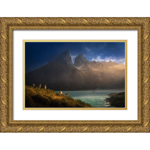 Immersing  in the golden lights Gold Ornate Wood Framed Art Print with Double Matting by Li, Bing