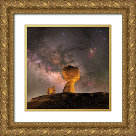 Mushroom Gold Ornate Wood Framed Art Print with Double Matting by Chander, Vikas