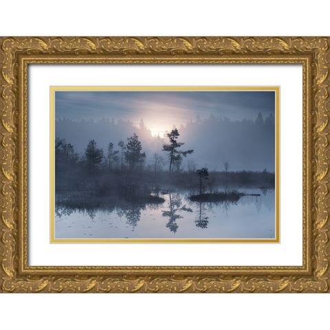 When the sun wakes up Gold Ornate Wood Framed Art Print with Double Matting by Pettersson, Benny