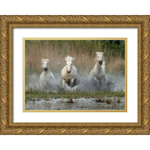 Coming in  to the dry Gold Ornate Wood Framed Art Print with Double Matting by Zvelebil PhD, Marketa