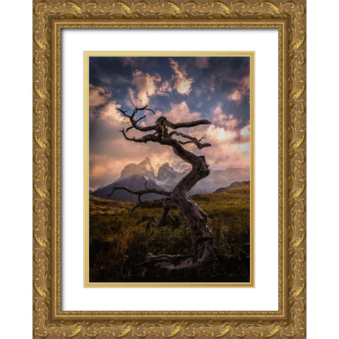 Dead Tree Gold Ornate Wood Framed Art Print with Double Matting by Zhang, Dennis