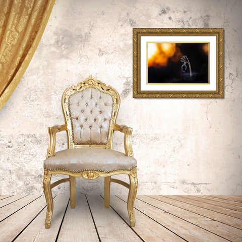 Pulsatilla Pratensis Gold Ornate Wood Framed Art Print with Double Matting by Rozehnal, Jan