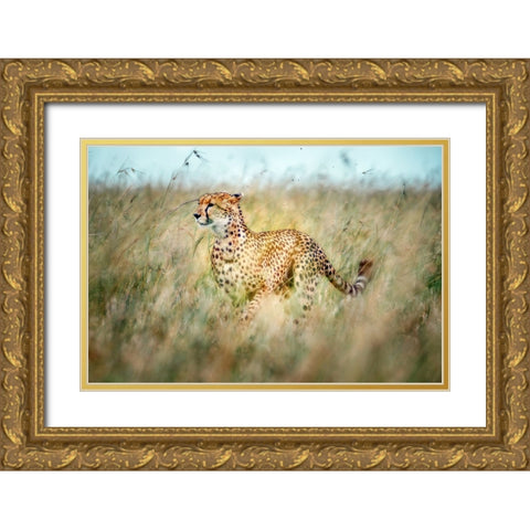 Secret Way Gold Ornate Wood Framed Art Print with Double Matting by Roshkumar