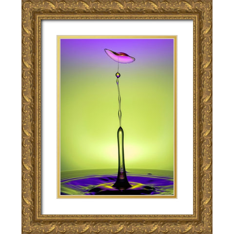 Drop Dance Gold Ornate Wood Framed Art Print with Double Matting by Sayadi, Yousef