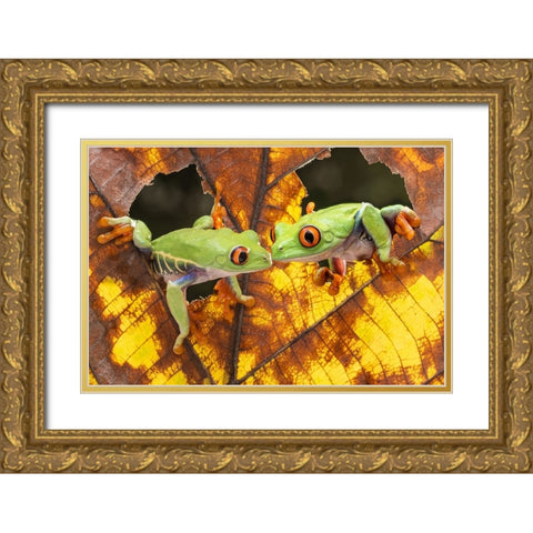 Morning Kiss Gold Ornate Wood Framed Art Print with Double Matting by Prijasambada