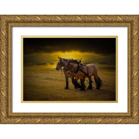 Horse III Gold Ornate Wood Framed Art Print with Double Matting by Philippe, Laruelle