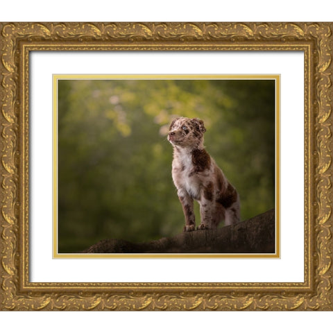 Mesmerized Gold Ornate Wood Framed Art Print with Double Matting by Kuplenk, Nika