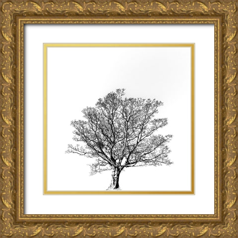Overflowing vitality. Gold Ornate Wood Framed Art Print with Double Matting by Hisamitsu, Yuusuke