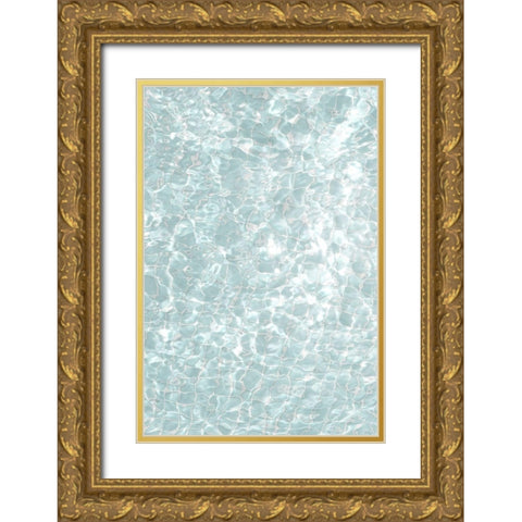 Solaris 01 Gold Ornate Wood Framed Art Print with Double Matting by 1x Studio III