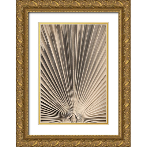 Solaris 07 Gold Ornate Wood Framed Art Print with Double Matting by 1x Studio III