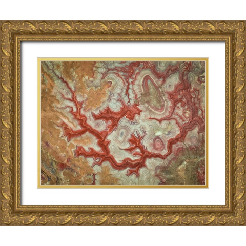 Red Dragon of The Badlands Gold Ornate Wood Framed Art Print with Double Matting by Zheng, Michael