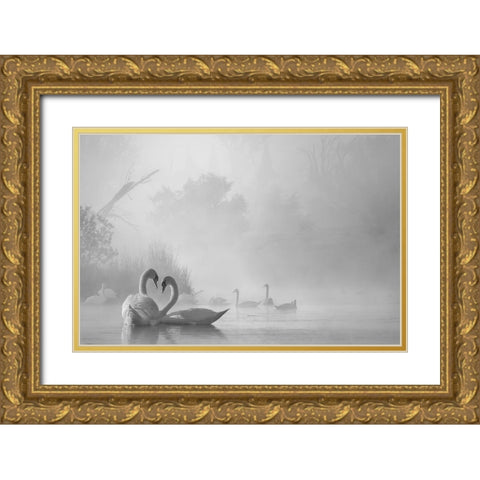 morning fog on swan lake Gold Ornate Wood Framed Art Print with Double Matting by Liu, Dawei