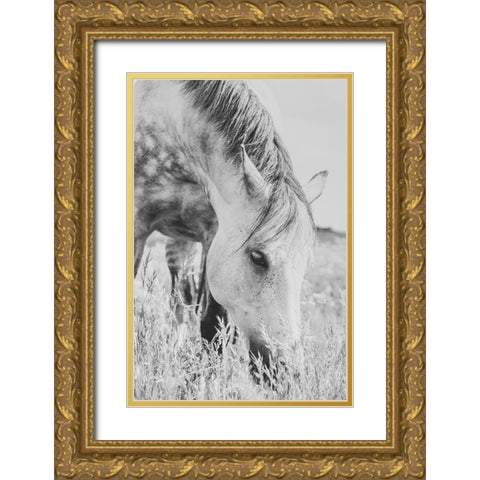 stallion Gold Ornate Wood Framed Art Print with Double Matting by De Jong, Arendina