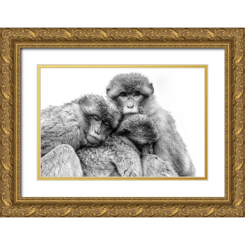 Keep together Gold Ornate Wood Framed Art Print with Double Matting by de Jong, Arendina