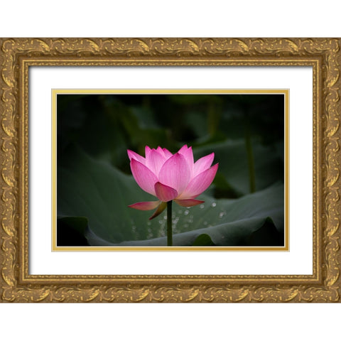 Untitled Gold Ornate Wood Framed Art Print with Double Matting by Song, Yunarto