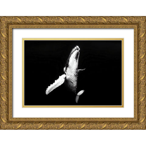 Whale season Gold Ornate Wood Framed Art Print with Double Matting by Melesan, Serge