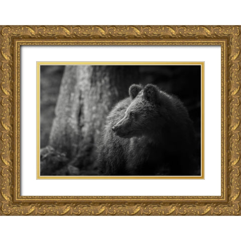 Last light Gold Ornate Wood Framed Art Print with Double Matting by Venier, Giovanni