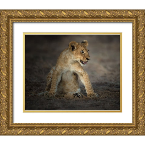 Brave Heart Gold Ornate Wood Framed Art Print with Double Matting by Sobhi, Ahmed