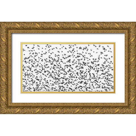 stars Gold Ornate Wood Framed Art Print with Double Matting by Hermann, Uschi