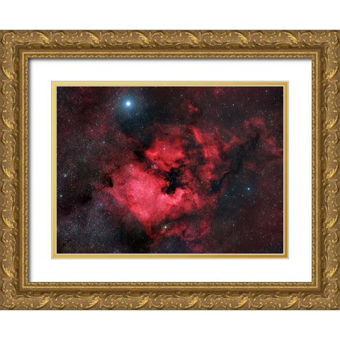 North American Nebula Gold Ornate Wood Framed Art Print with Double Matting by Chander, Vikas