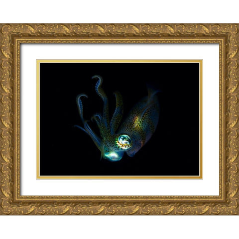 Night Elf (Squid) Gold Ornate Wood Framed Art Print with Double Matting by Y Lin, Ryan