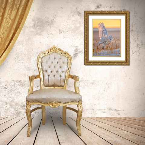 Snowy Owl Gold Ornate Wood Framed Art Print with Double Matting by Huang, Tao