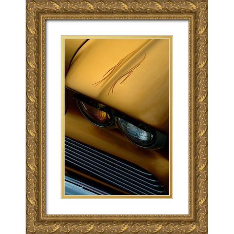 Tiger Eye Gold Ornate Wood Framed Art Print with Double Matting by Peach, Don