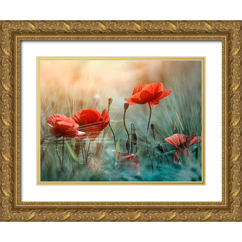 The red poppies Gold Ornate Wood Framed Art Print with Double Matting by Panaana