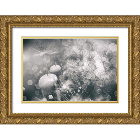 Extravaganza Gold Ornate Wood Framed Art Print with Double Matting by Kopcev, Igor