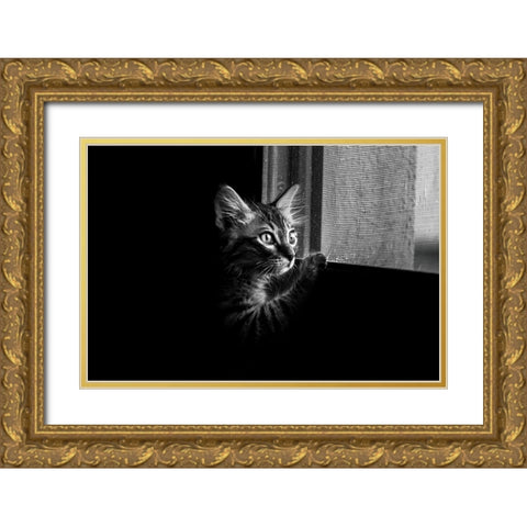 Leo Gold Ornate Wood Framed Art Print with Double Matting by Alsharif, Yahia