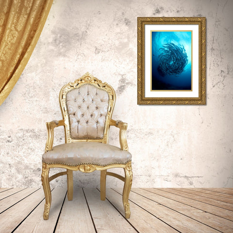 Fish Tornado Gold Ornate Wood Framed Art Print with Double Matting by Y Lin, Ryan